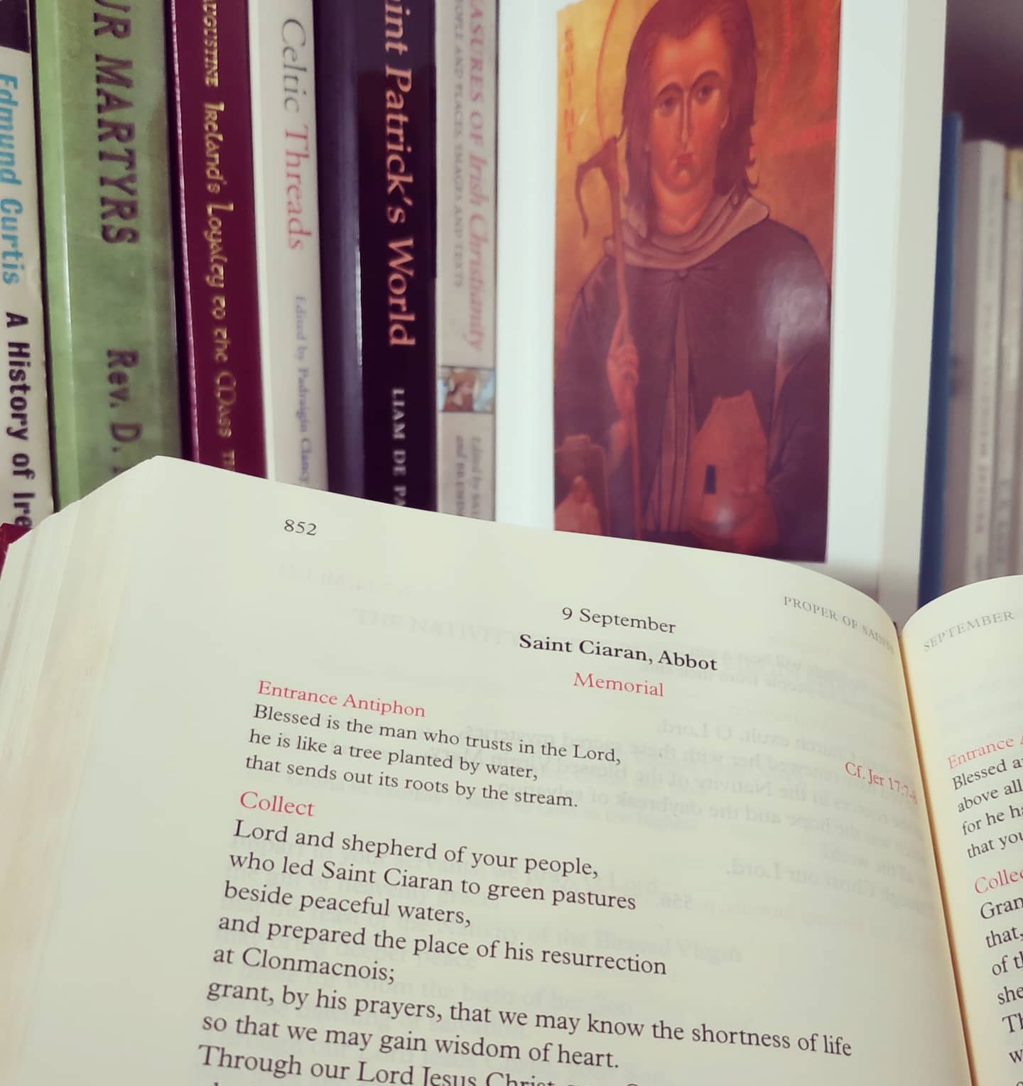 W Irlandii czcimy dziś św. Ciarána z Clonmacois. Jego krótkie życie, było ziarnem z którego wyrosło potężne drzewo: pręż