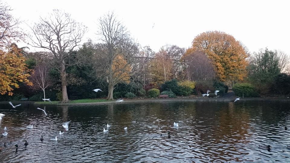Love those cold autumn evenings in Herbert Park :) Nie często…