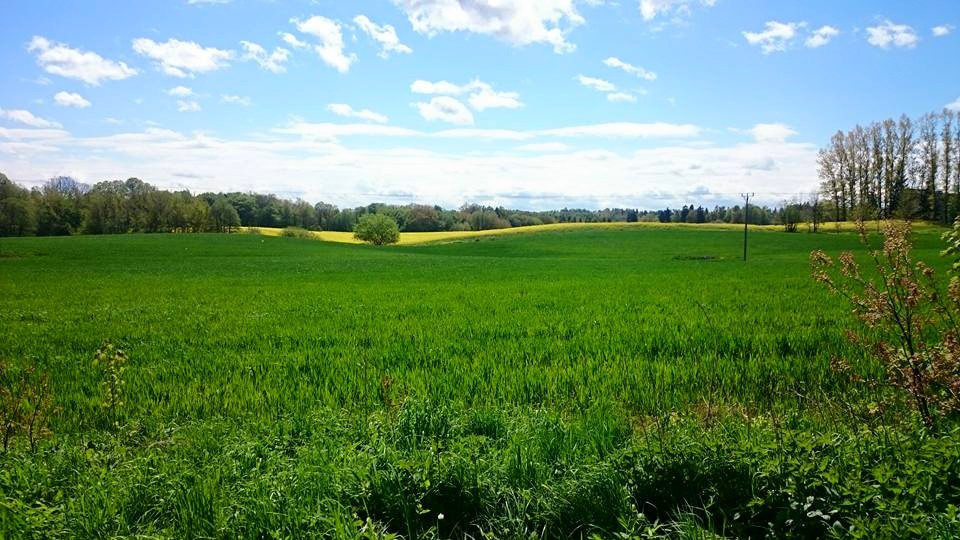 Warmia to biedny ale piękny kawałek polskiej ziemi.