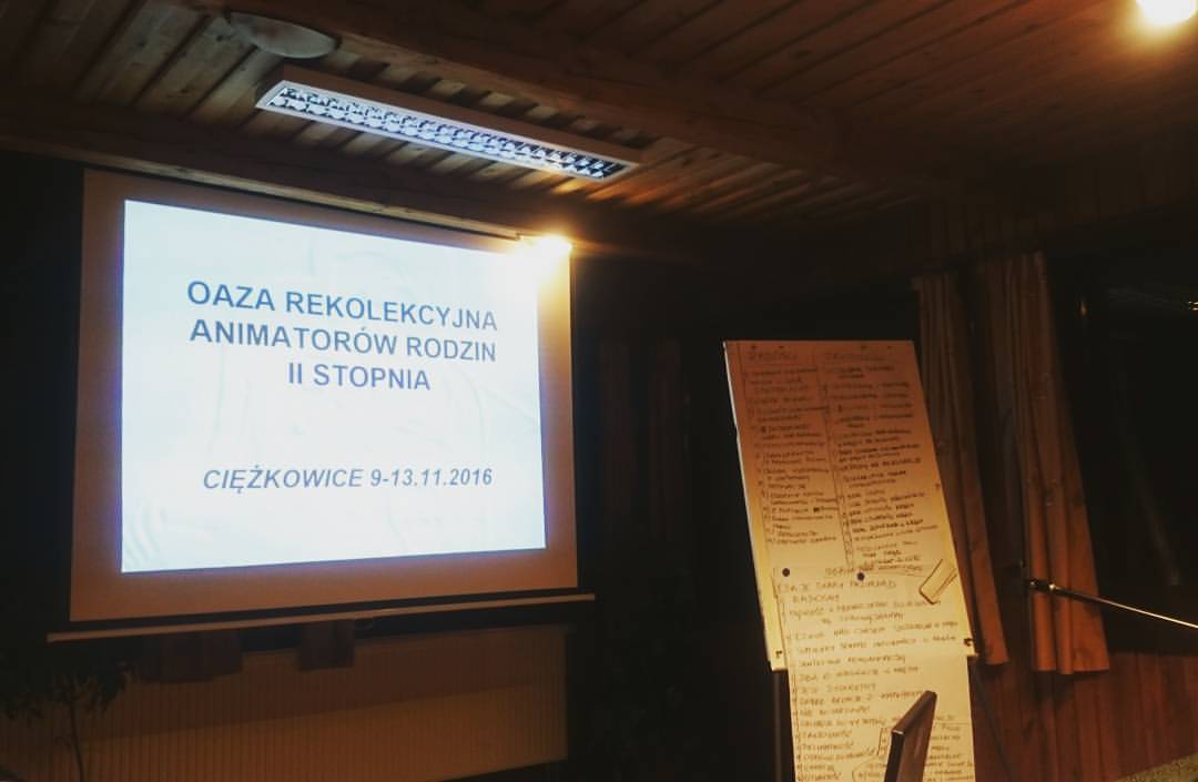 Domowy Kościół w dużej mierze opiera się w swoim sposobie formacji na małżeńskich parach animatorskich, które kształtują