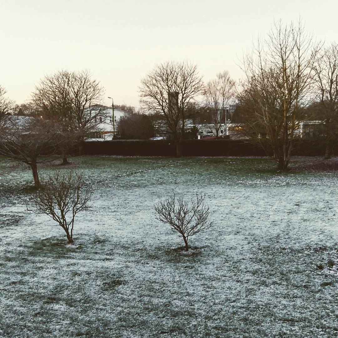 To jest zima na miarę naszych możliwości i tym śniegiem…