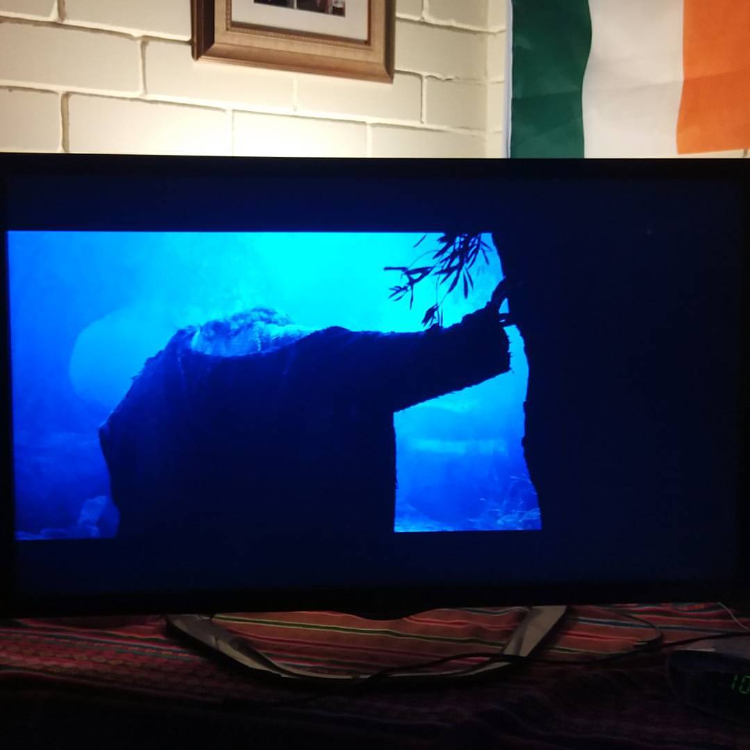 Na koniec dnia jak co roku w Wiekiem Tygodniu czas medytacji i…