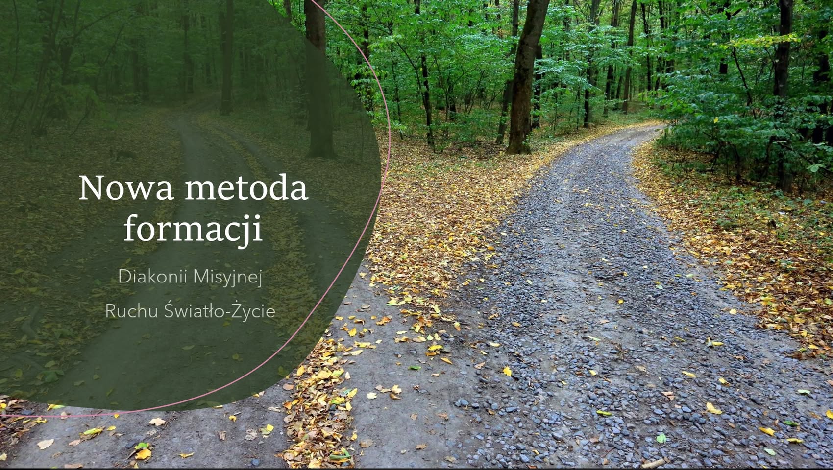 #Światło_Życie - wpis widoczny dla osób związanych z Ruchem Światło-Życie, odpowiedzialnych za niego i formujących się w