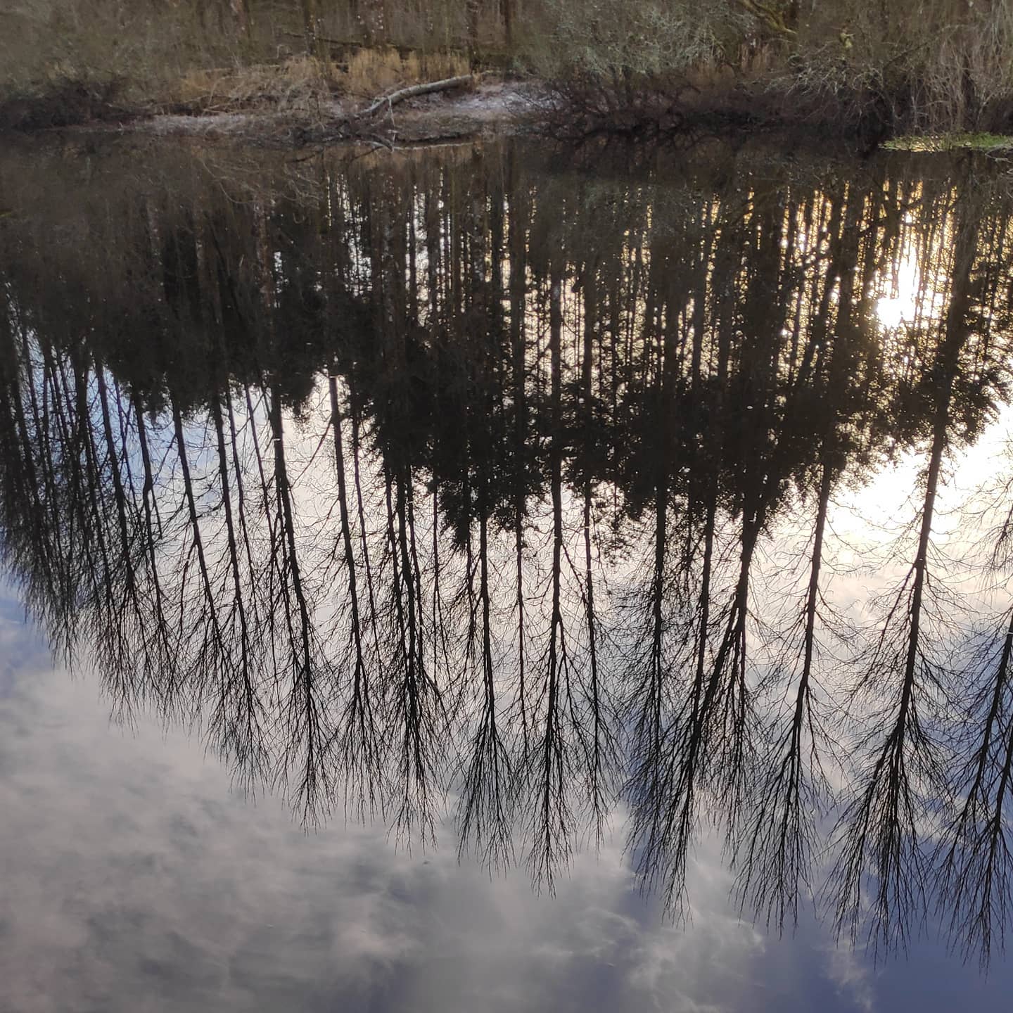 #zespaceru Stoję sobie nad rzeką i na taki obraz przypomina mi…