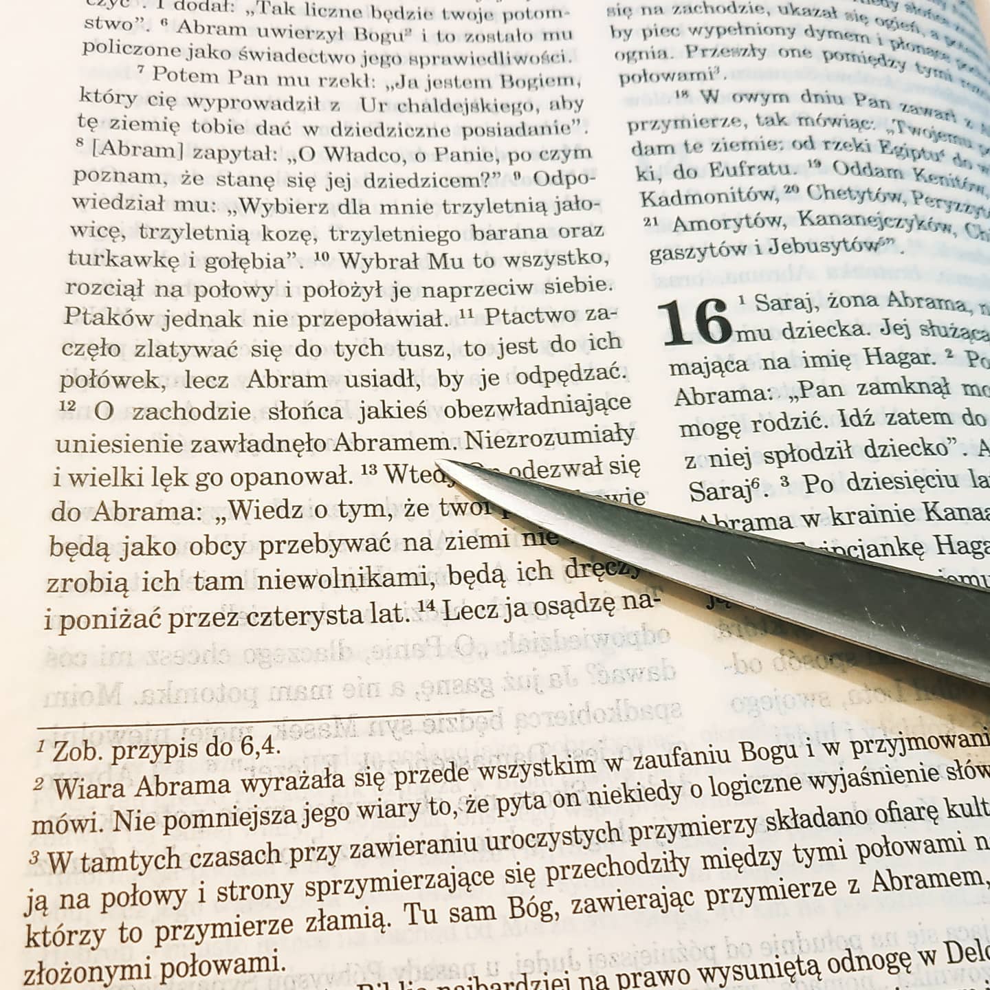 Z najstarszą grupą formacyjną w ramach Werbistowskiej Wspólnoty Dorosłych Ruchu Światło-Życie, która nosi imię Studnia J
