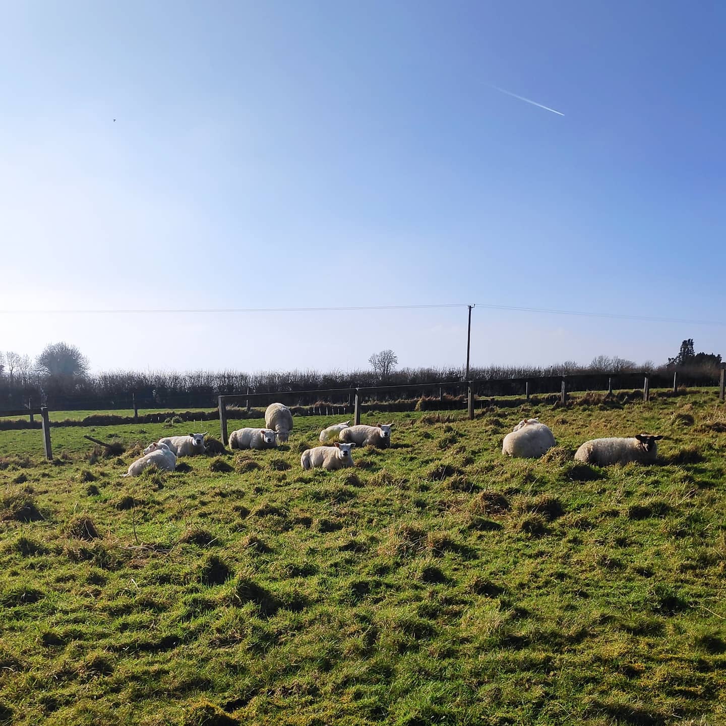 #zespaceru Jak widać typowy irlandzki Monday chill, jedna coś…