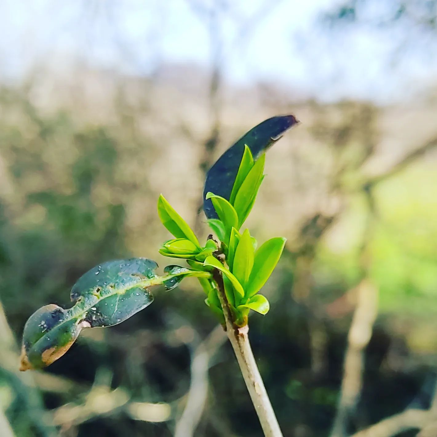 Światło ☀➡🌿Życie Wystarczy kilka dni super słonecznej pogody i…