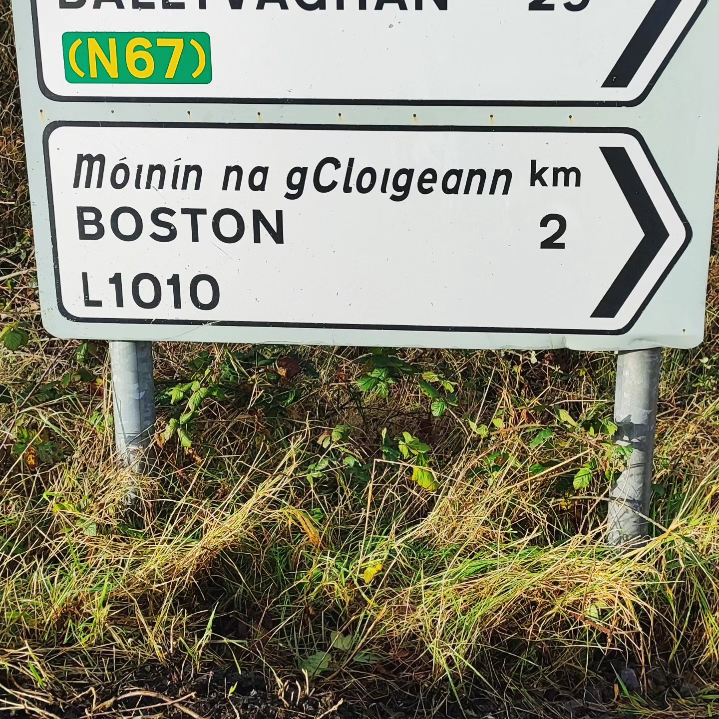 My w Irlandii mamy fajne miejsca, mamy swój Hollywood starszy…