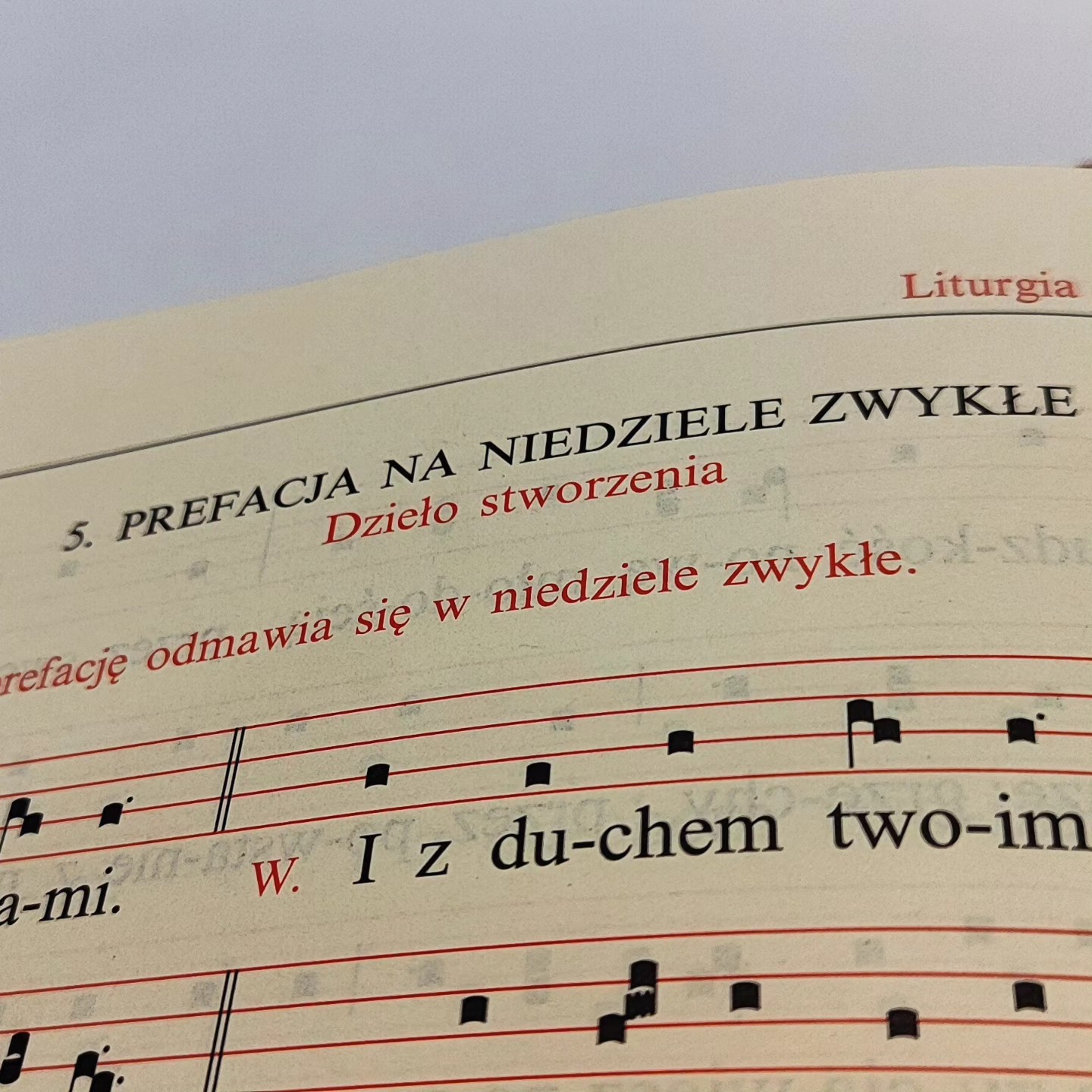 1 września to Światowy Dzień Modlitw o Ochronę Świata Stworzonego a także miesięczny okres zwany "czasem dla stworzenia"